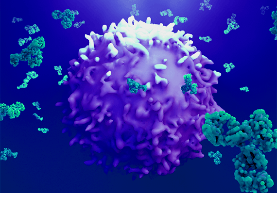 Understanding the Impact of Immunogenicity